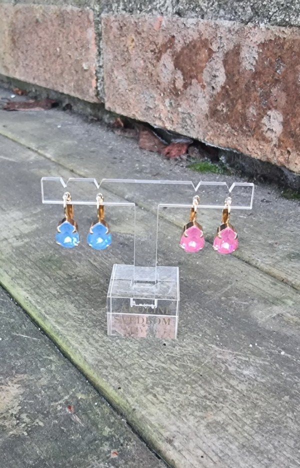 Drop Clasp Earrings - many colors
